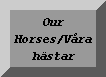 Our Horses/Vra Hstar
